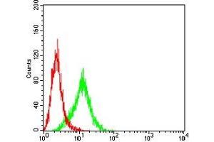 Flow Cytometry (FACS) image for anti-Keratin 13 (KRT13) (AA 104-458) antibody (ABIN7193705)