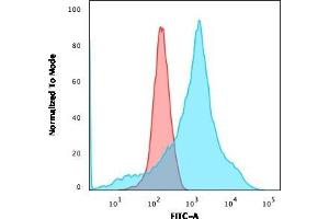 Flow Cytometric Analysis of K562 cells using LMO2 Mouse Monoclonal Antibody (LMO2/1971) followed by goat anti-Mouse IgG-CF488 (Blue); Isotype Control (Red) (LMO2 Antikörper  (AA 23-140))