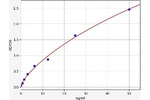 Typical standard curve (Retinoid X Receptor beta ELISA Kit)
