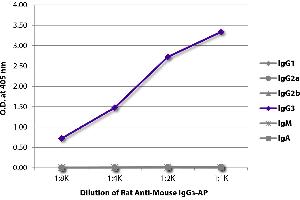ELISA plate was coated with purified mouse IgG1, IgG2a, IgG2b, IgG3, IgM, and IgA. (Ratte anti-Maus IgG3 Antikörper (Alkaline Phosphatase (AP)))