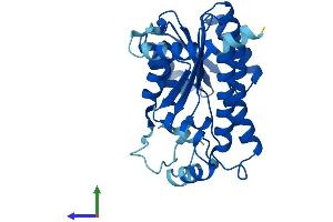 Protein Structure (PS) image for Dehydrogenase/reductase (SDR Family) Member 3 (DHRS3) (AA 1-302) protein (His tag) (ABIN7547102)