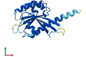 Protein Structure (PS) image for RAB, Member RAS Oncogene Family-Like 5 (RABL5) (AA 1-185) protein (His tag) (ABIN7561221)