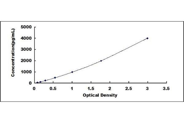 GSTA1 ELISA Kit