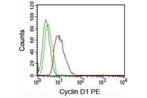 FACS testing of MCF-7 cells: Black=cells alone; Green=isotype control; Red=Cyclin D1 antibody PE conjugate (V2006PE) (Cyclin D1 Antikörper)