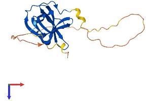 OBFC2A Protein (AA 1-198) (His tag)