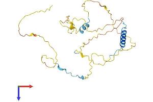 CDCA5 Protein (AA 1-264) (His tag)