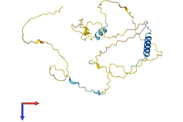 CDCA5 Protein (AA 1-264) (His tag)