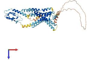GLP2R Protein (AA 1-512) (His tag)
