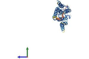 Protein Structure (PS) image for Phosphatidic Acid Phosphatase Type 2C (PPAP2C) (AA 1-276) protein (His tag) (ABIN7561247)