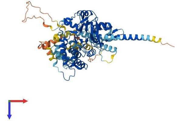 PPEF1 Protein (AA 1-653) (His tag)
