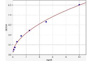 PKC alpha ELISA Kit