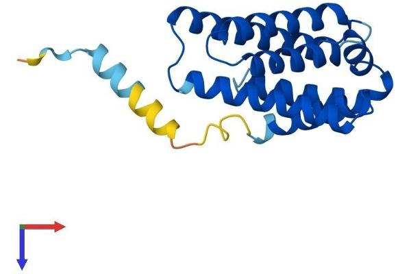 TNFAIP8L2 Protein (AA 1-184) (His tag)