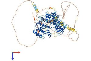 ARHGAP28 Protein (AA 1-729) (His tag)
