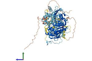 Protein Structure (PS) image for DNA Repair Protein Complementing XP-B Cells (ERCC3) (AA 1-782) protein (His tag) (ABIN7553806)