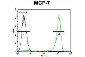 Flow Cytometry (FACS) image for anti-Vascular Endothelial Growth Factor C (VEGFC) antibody (ABIN2996454)