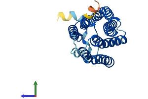 Protein Structure (PS) image for Monocyte To Macrophage Differentiation-Associated (MMD) (AA 1-238) protein (His tag) (ABIN7550599)