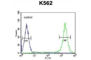 TFAM Antibody (C-term) flow cytometric analysis of K562 cells (right histogram) compared to a negative control cell (left histogram). (TFAM Antikörper  (C-Term))