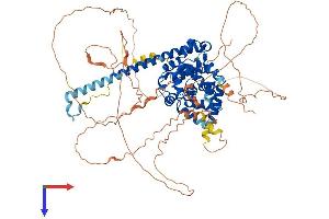 TBC1D12 Protein (AA 1-775) (His tag)