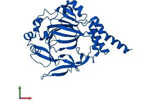 Protein Structure (PS) image for Jumonji Domain Containing 7 (JMJD7) (AA 1-316) protein (His tag) (ABIN7548650)