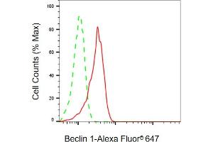 Flow cytometric analysis of Beclin 1 expression in HT- cells using Beclin 1 antibody (ABIN7797760), 1:2,000). (Rekombinanter Beclin 1 Antikörper)