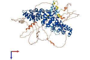 Plakophilin 3 Protein (PKP3) (AA 1-797) (His tag)
