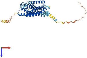 LPAR4 Protein (AA 1-370) (His tag)