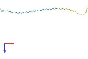 Small Proline-Rich Protein 2B (SPRR2B) (AA 1-98) protein (His tag)