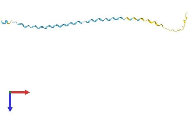 Small Proline-Rich Protein 2B (SPRR2B) (AA 1-98) protein (His tag)