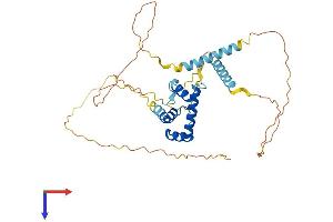 MKX Protein (AA 1-353) (His tag)