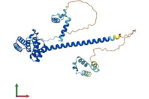 Protein Structure (PS) image for Suppression of Tumorigenicity 13 (ST13) (AA 1-369) protein (His tag) (ABIN7547538)