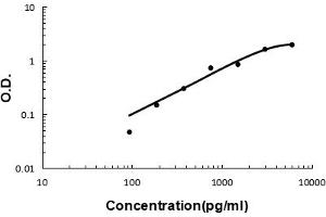 Sandwich ELISA - Recombinant human cxcl16 protein standard curve. (CXCL16 Antikörper  (AA 30-196))