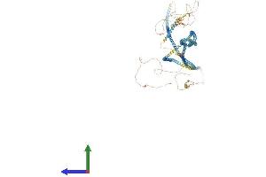 Protein Structure (PS) image for Golgin A3 (GOLGA3) (AA 1-1498) protein (His tag) (ABIN7554023)