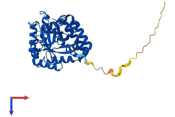 AKR7A2 Protein (AA 1-359) (His tag)