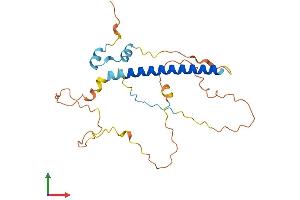 Protein Structure (PS) image for Chromosome 1 Open Reading Frame 190 (C1orf190) (AA 1-239) protein (His tag) (ABIN7549183)