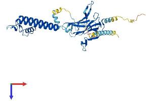 KCNJ1 Protein (AA 1-391) (His tag)