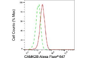 Flow cytometric analysis of CAMK2B expression in HAP-1 cells using CAMK2B antibody (ABIN7797834), 1:2,000).