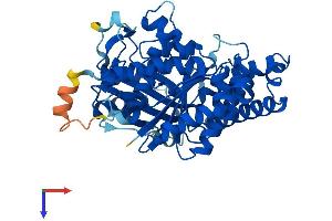 TUBAL3 Protein (AA 1-446) (His tag)