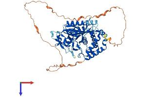 C6orf150 Protein (AA 1-507) (His tag)