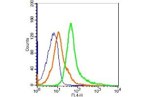 RSC96 cells probed with CD163/M130 Polyclonal Antibody, ALEXA FLUOR® 647 Conjugated (bs-2527R-A647) at 1:20 for 30 minutes compared to control cells (blue)and isotype control (orange). (CD163 Antikörper  (AA 1001-1121) (Alexa Fluor 647))