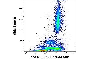 Flow cytometry surface staining pattern of human peripheral blood stained using anti-human CD59 (MEM-43) purified antibody (concentration in sample 0.