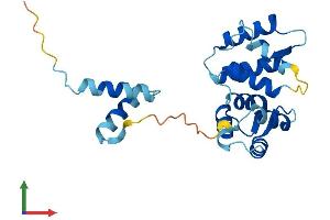 Protein Structure (PS) image for Ropporin, Rhophilin Associated Protein 1B (ROPN1B) (AA 1-212) protein (His tag) (ABIN7551488)