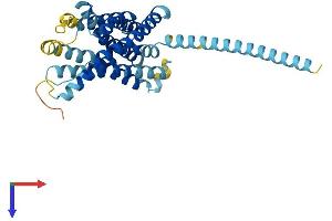 LPAR6 Protein (AA 1-344) (His tag)