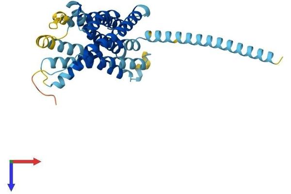 LPAR6 Protein (AA 1-344) (His tag)