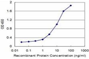 Detection limit for recombinant GST tagged SFN is approximately 0. (14-3-3 sigma/SFN Antikörper  (AA 1-248))
