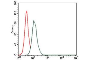 Flow Cytometry (FACS) image for anti-Hyaluronan Synthase 3 (HAS3) antibody (ABIN1845757) (HAS3 Antikörper)