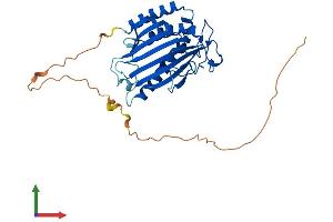 Protein Structure (PS) image for Phosphatidylinositol Transfer Protein, Cytoplasmic 1 (PITPNC1) (AA 1-332) protein (His tag) (ABIN7550799)