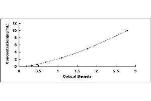 Typical standard curve (LTBP1 ELISA Kit)