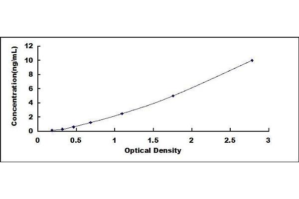 LTBP1 ELISA Kit