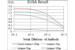 Red: Control Antigen (100ng) ; Purple: Antigen (10ng) ; Green: Antigen (50ng) ; Blue: Antigen (100ng). (EGFR Mutant (AA 693-893), (Mutant) Antikörper)