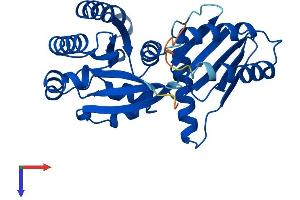 RRAGA Protein (AA 1-313) (His tag)